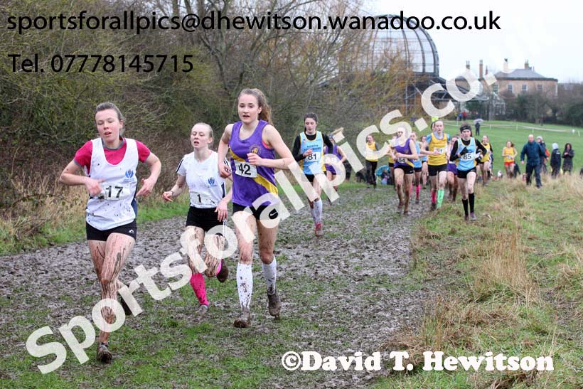 Intermediate girls Northern Inter Counties Schools Cross Country, Stockton. Photo: David T. Hewitson/Sports for All Pics